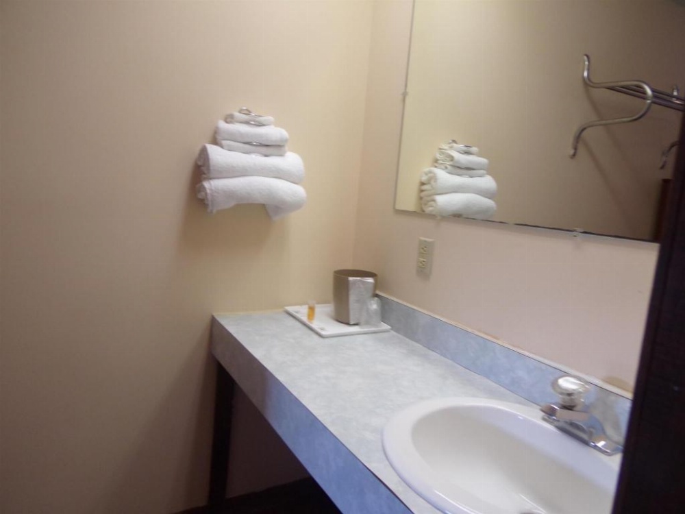 Huggy Bear Motel - Warren